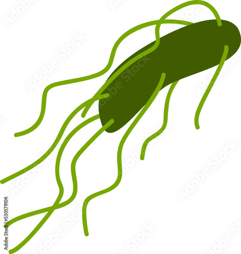 Obraz na plátně Bacterium with flagella