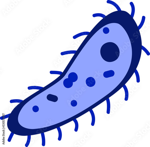 Fotografie Infusoria slipper bacterium unicellular microorganism illustration