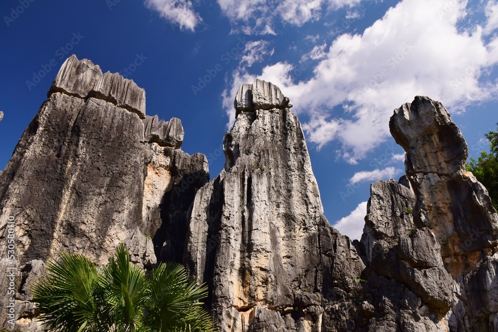 Fototapeta premium 世界遺産 雲南省 石林風景区