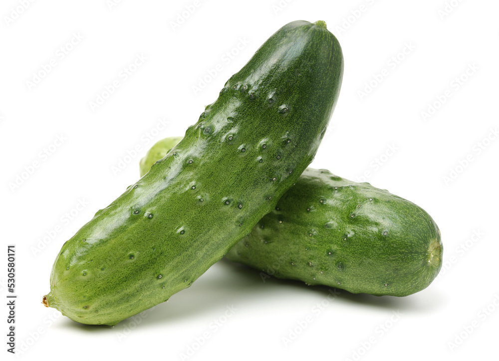 Green cucumber on the white background Green cucumber on the white background