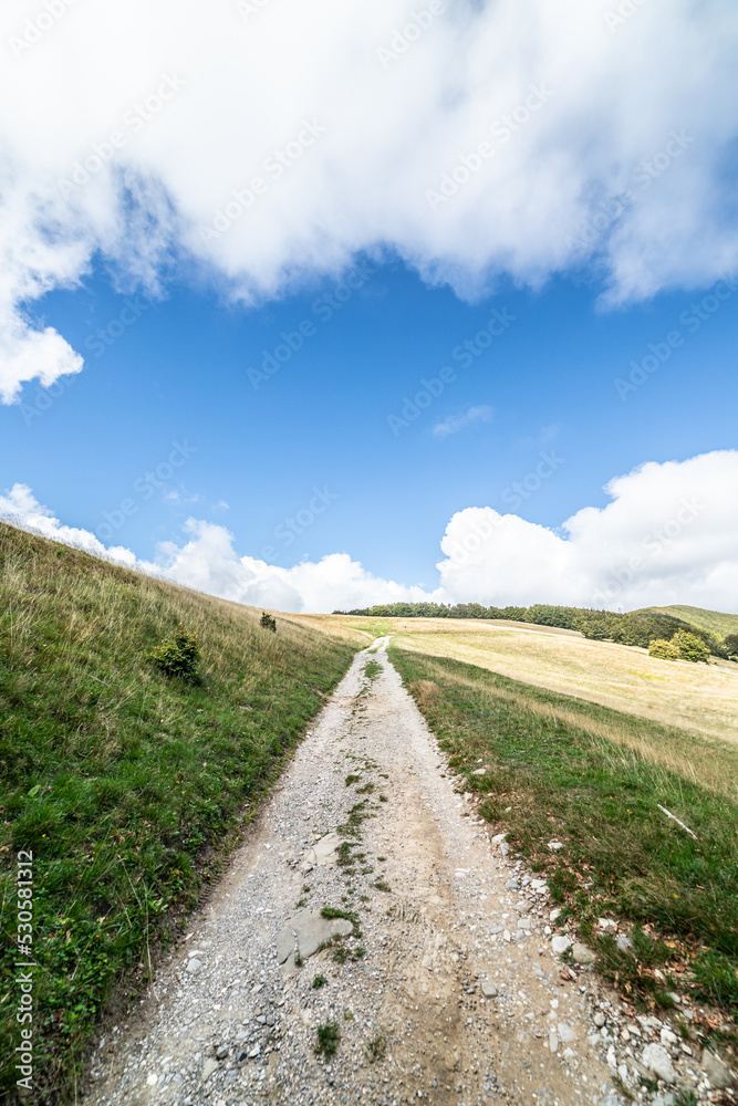 National Park of Casentinesi Forest, Campigna, Italy National Park of Casentinesi Forest, Campigna, Italy