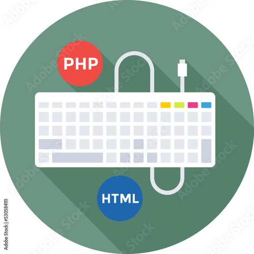 Programming Colored Vector Icon