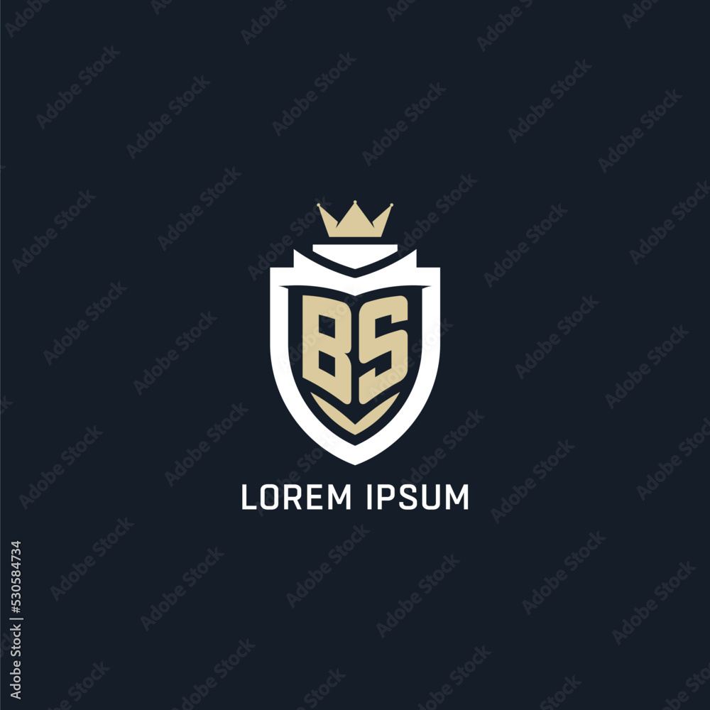 Initial letter BS shield and crown logo style esport team logo design Initial letter BS shield and crown logo style esport team logo design
