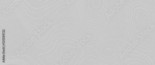 3D colorful Topographic map background concept. Topo contour map. Rendering abstract illustration. Valleys and mountains, outline topographic contour map abstract tech motion graphic design.