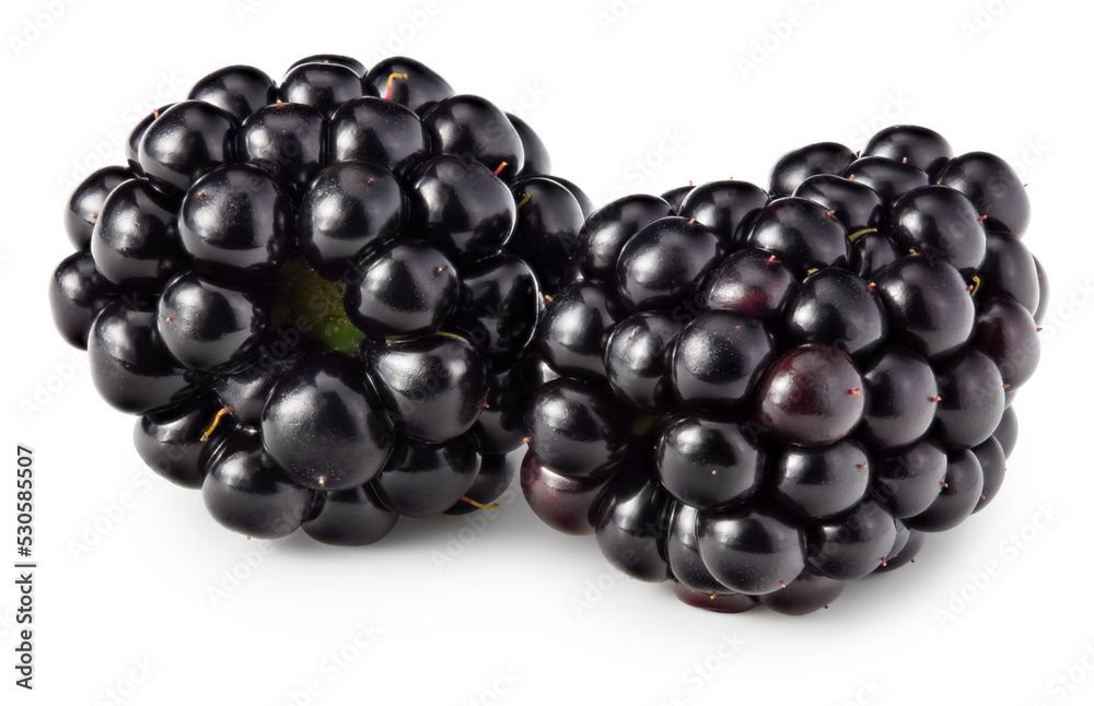 blackberries isolated on white background. full depth of field. macro. clipping path blackberries isolated on white background. full depth of field. macro. clipping path