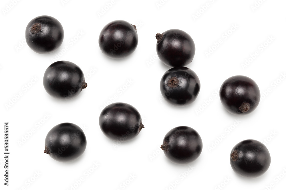 black currant isolated on white background. macro. clipping path. top view black currant isolated on white background. macro. clipping path. top view