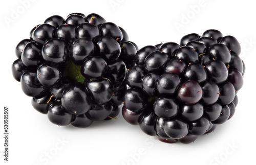 blackberries isolated on white background. full depth of field. macro. clipping path