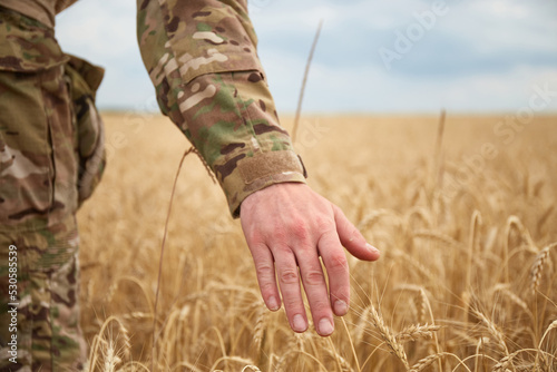 Ukrainian military man in wheat field. Ukrainian wheat fields and war upcoming food crisis. Armed Forces of Ukraine