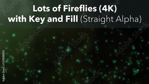 Fireflies, Key And Fill (Straight Alpha) photo