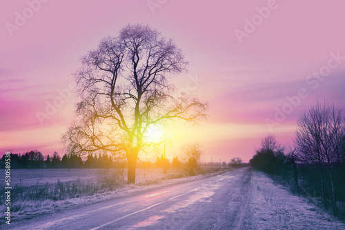 Snowy rural road at sunset