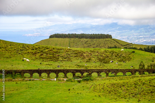 landscape of green field crossed by an aqueduct