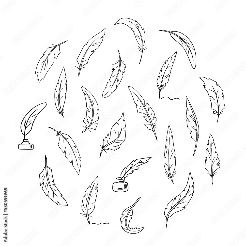 Bird feather quills set, writing ink pens, hand drawn outline, doodle sketch. Freehand