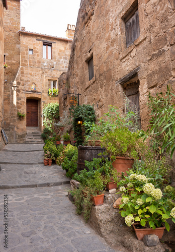 Fototapeta Naklejka Na Ścianę i Meble -  Picturesque building in medieval town in Tuscany, Italy. Old stone walls and plants