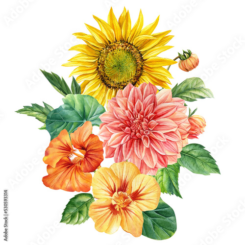 Fotografi Multicolored flowers