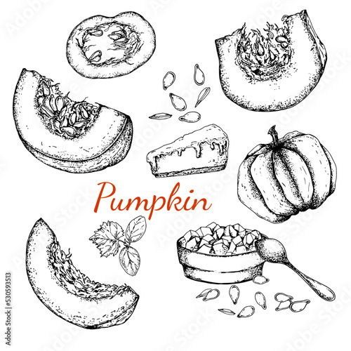 Pumpkin. Sliced pumpkin, seeds and plant sprout. Porridge and pumpkin pie. Black and white stock illustration. Sketch. Hand drawn. Isolated. Engraving. Great for vegetarian food labeling, packaging 