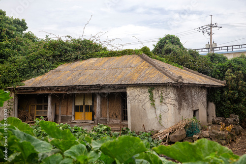 an abandoned house long ago
