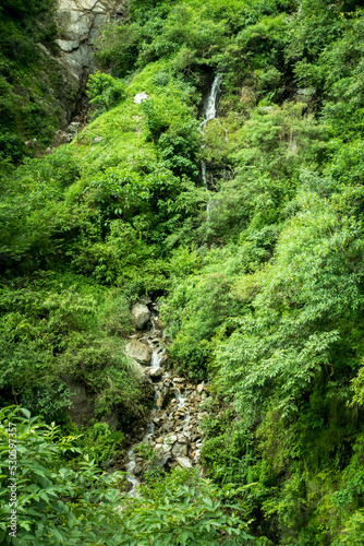 A small water stream pouring down a mountain covered with wild green vegetation during monsoon season in the Himalayan region of Uttarakhand  India.