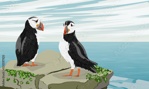 Two Atlantic puffins on a rock above the ocean. Scandinavian bird Fratercula arctica or common puffin. Realistic vector landscape