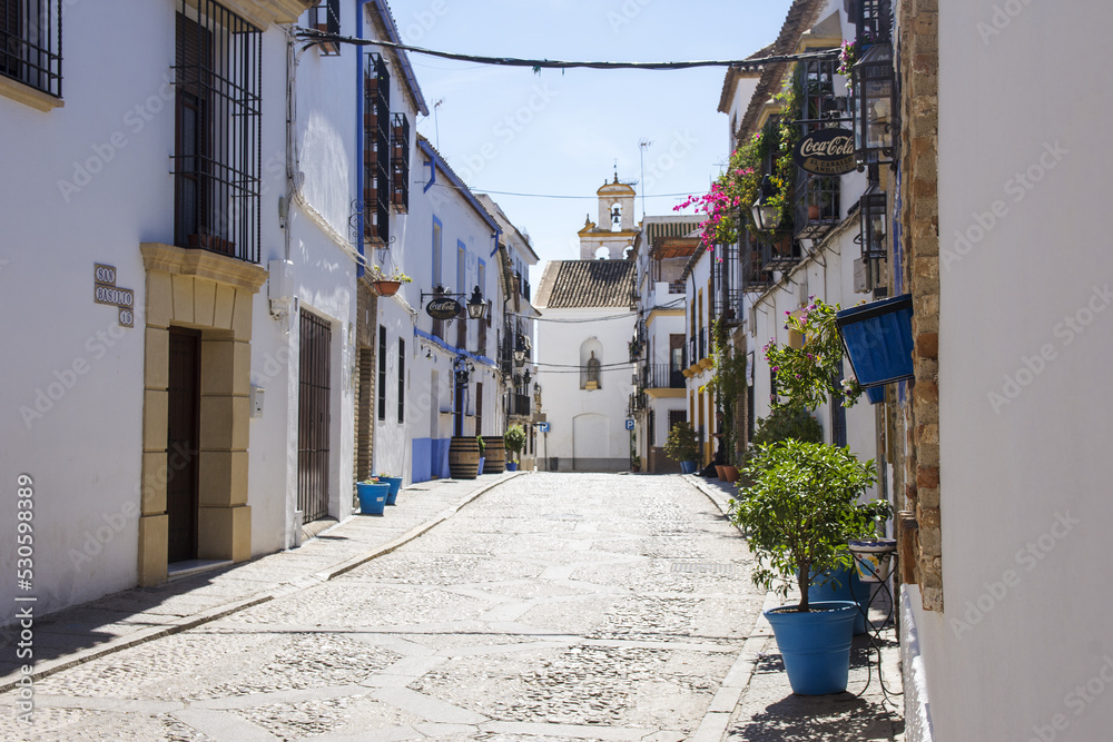Obraz premium A view of a street with withe houses and flowers