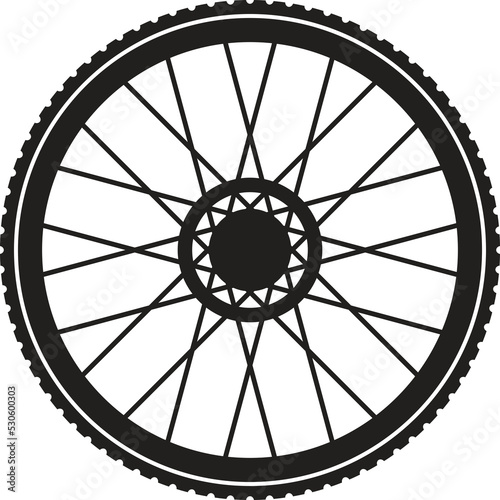 Bicycle wheel isolated