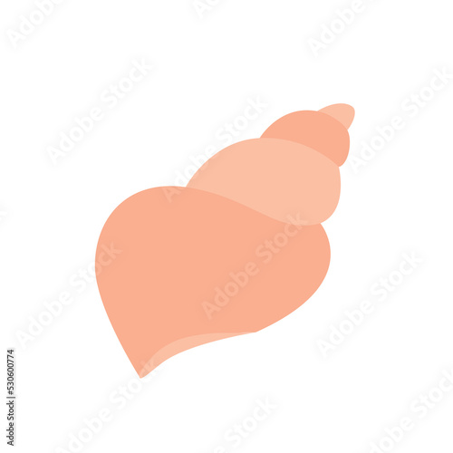 sea shell isolated on white background vector