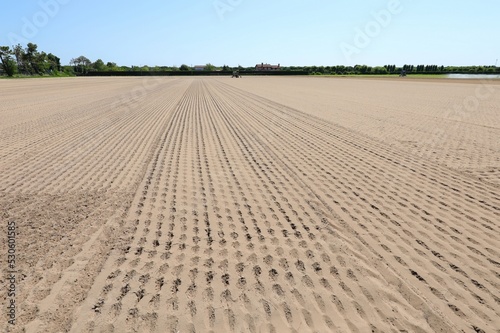 Print op canvas field to be cultivated completely arid due to drought in summer
