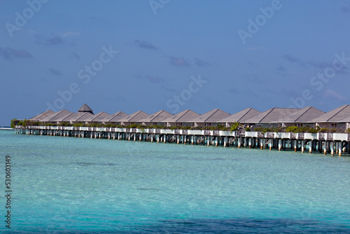 View of the water villas in the Maldives through the tropical greenery. © Vladislav
