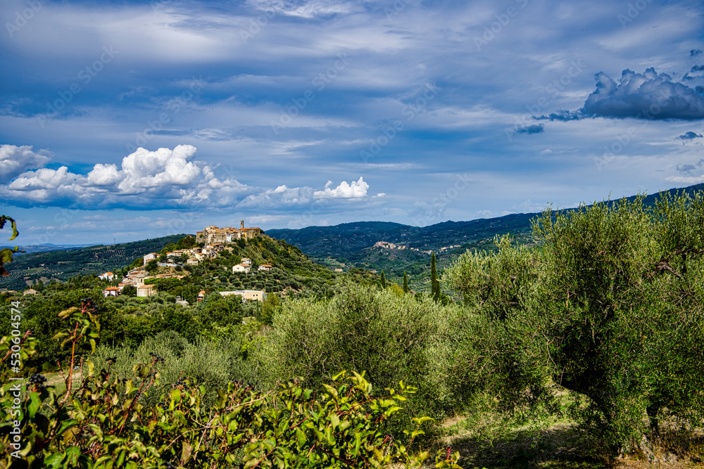 Panorama on the village of Montegiovi di Castel del Piano Grosseto Tuscany Italy