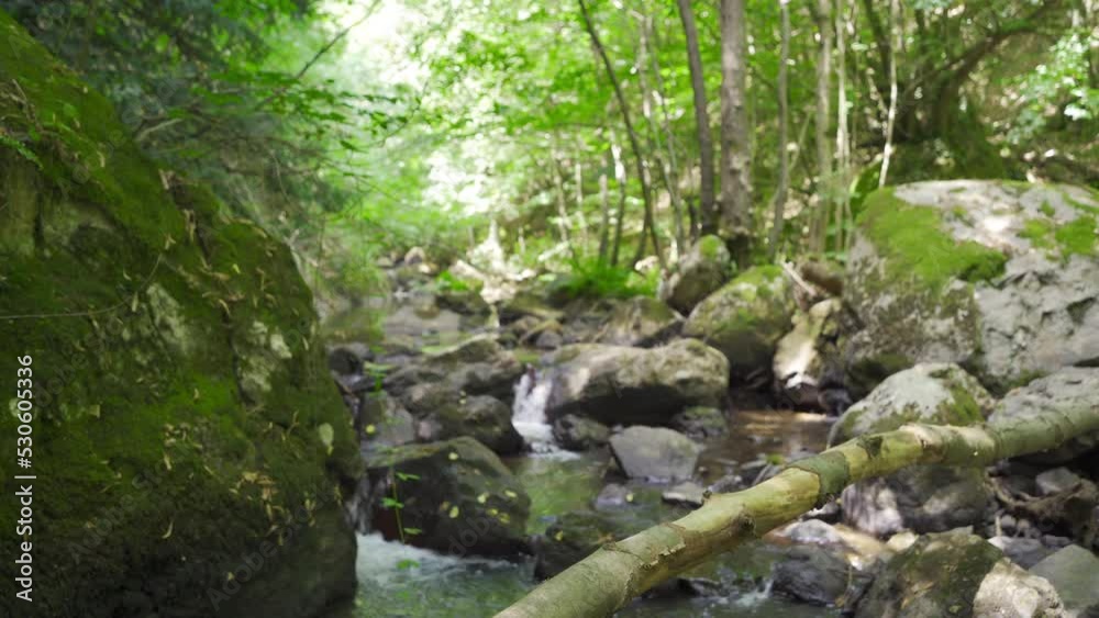 Stream flowing through the rocks.
A stream or stream flowing through a forest.
Stream flowing through the rocks.
A stream or stream flowing through a forest.