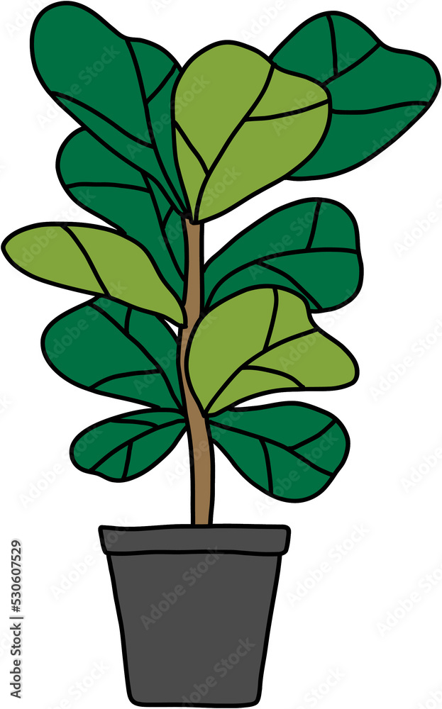 freehand sketch drawing of fiddle leaf fig tree.