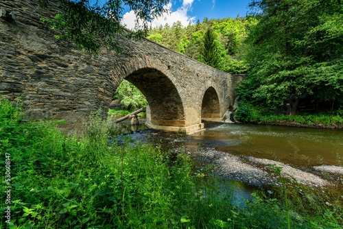 Obraz na płótnie Rabstejn nad Strelou, Czech Republic - June 12 2022: View of the historical sandstone bridge over the river Strela made in the 14th century, a second oldest in the Czech Republic. Sunny summer day. w salonie