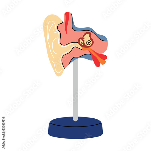 Anatomy of human organ, ear in flat line style on stand. Cartoon vector illustration, medicine, biology, physiology. Health, body, eardrum, hearing, feeling, balance, auricle, structure, learning.