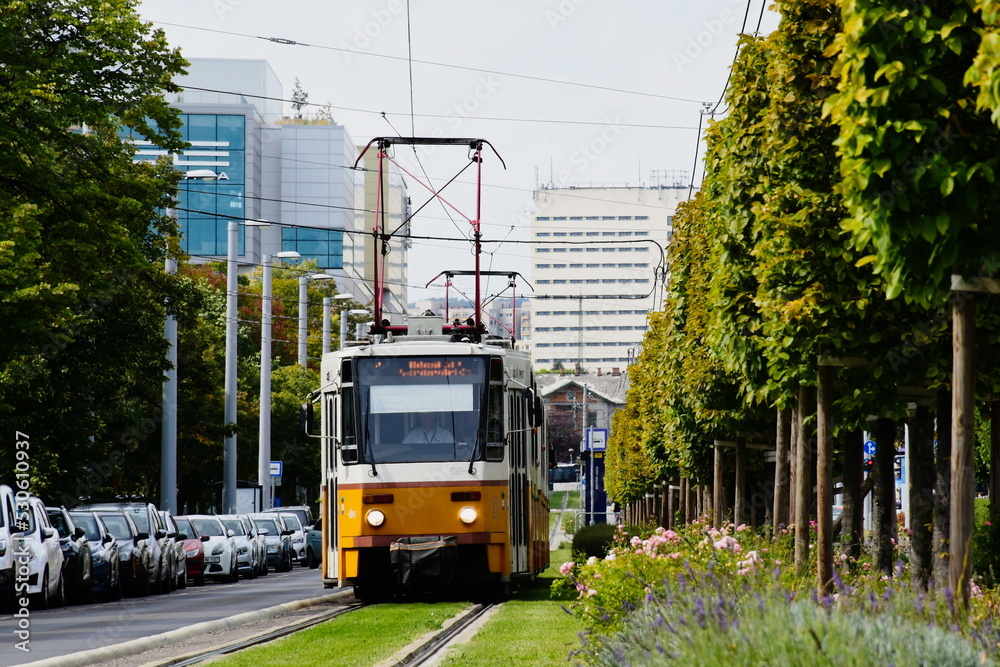 green grass between tramway steel tracks. diminishing perspective with yellow tram closeup and streetscape. lush green tree line on the side. environment and city lifestyle concept
