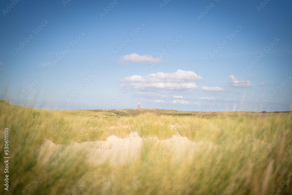 Obraz premium Dünen