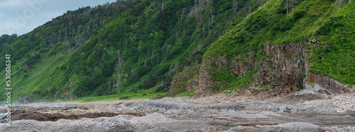 coastal landscape, beautiful wooded rocks on the green coast of Kunashir island photo