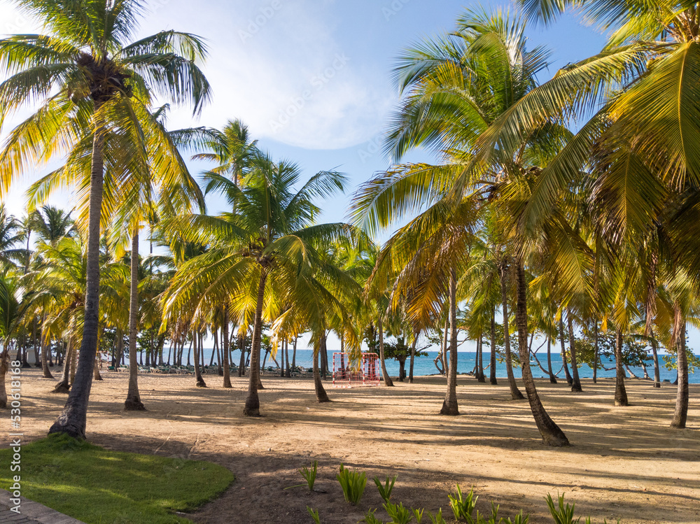 Fototapeta premium Beach with palm trees and football goal