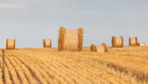 Fototapeta Naklejka Na Ścianę i Meble -  View of the Masurian fields.