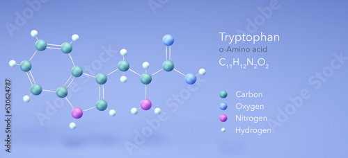 Fototapeta Naklejka Na Ścianę i Meble -  tryptophan, molecular structures, amino acid, 3d model, Structural Chemical Formula and Atoms with Color Coding