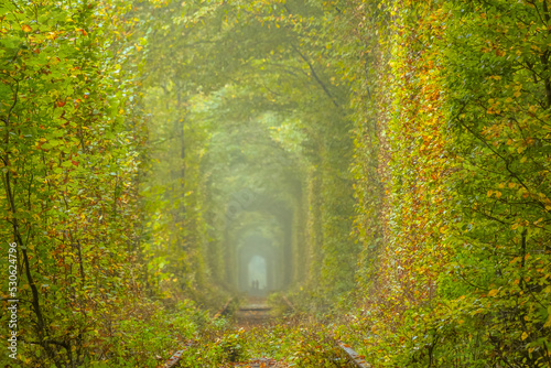 Ukrainian Tunnel of Love and Summer Park in Klevan photo