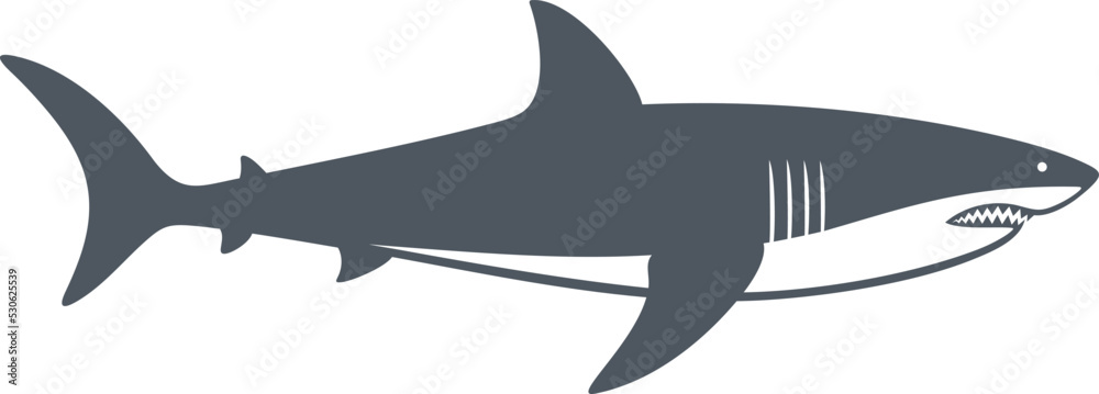 Shark logo. Isolated shark on white background