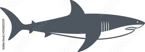 Shark logo. Isolated shark on white background