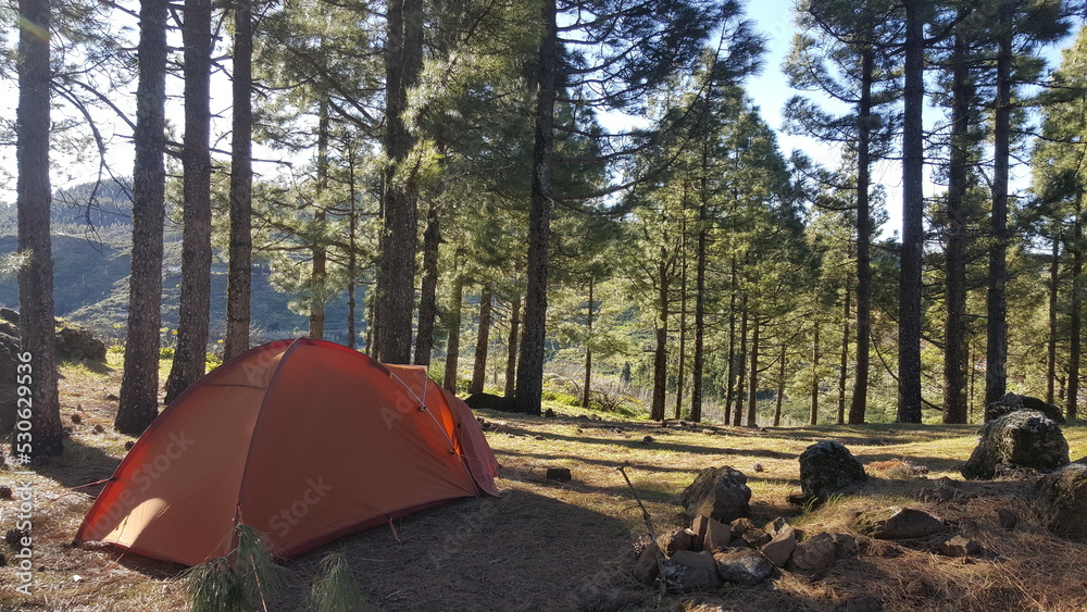 Camping on the trees - Gran Canaria