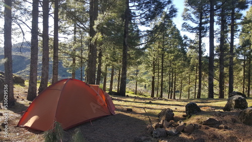 Camping on the trees - Gran Canaria