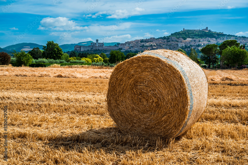 Assisi, a journey through history and religion.