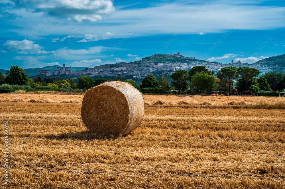 Assisi, a journey through history and religion. Assisi, a journey through history and religion.