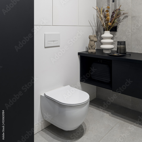 Εκτύπωση καμβά White toilet in stylish lavatory interior