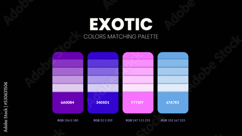 Exotic color scheme. Color Trends combinations and palette guide. Example of table color shades in RGB and HEX. Color swatch for fashion, home, interiors design 2022. Colour chart idea vector.