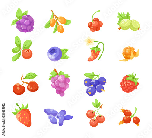 Fototapeta Naklejka Na Ścianę i Meble -  Different berries flat vector illustrations set. Collection of cartoon drawings of cranberry, blueberry, cherry, raspberry, strawberry isolated on white background. Berries, food or superfood concept