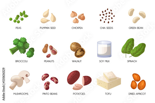 Vegan sources of protein cartoon illustration set. Peas, pumpkin seeds, chickpea, chia seeds, green bean, broccoli, peanuts, walnut, soy milk, spinach, tofu, pinto beans. Veganism concept