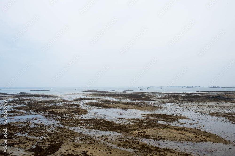 Seascape in Brittany, France. Seaweeds on a bay Seascape in Brittany, France. Seaweeds on a bay